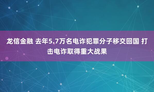龙信金融 去年5.7万名电诈犯罪分子移交回国 打击电诈取得重大战果