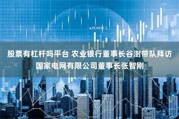 股票有杠杆吗平台 农业银行董事长谷澍带队拜访国家电网有限公司董事长张智刚